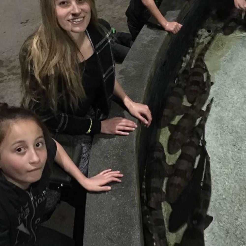 Meet your Posher, Abby